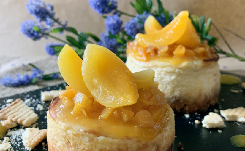 Cheese cake abricot